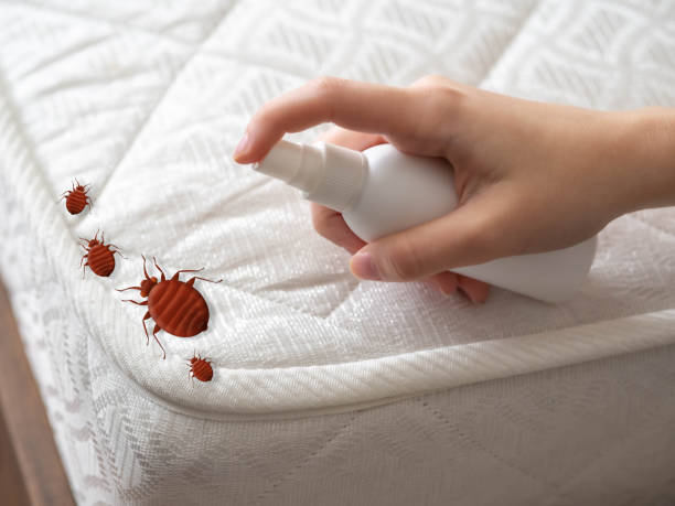 Best Organic or Eco-Friendly Pest Control  in Northfield, NJ